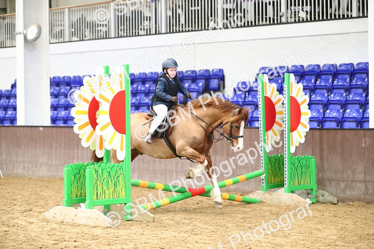 SBM_000704 - Class 2 - 40cm