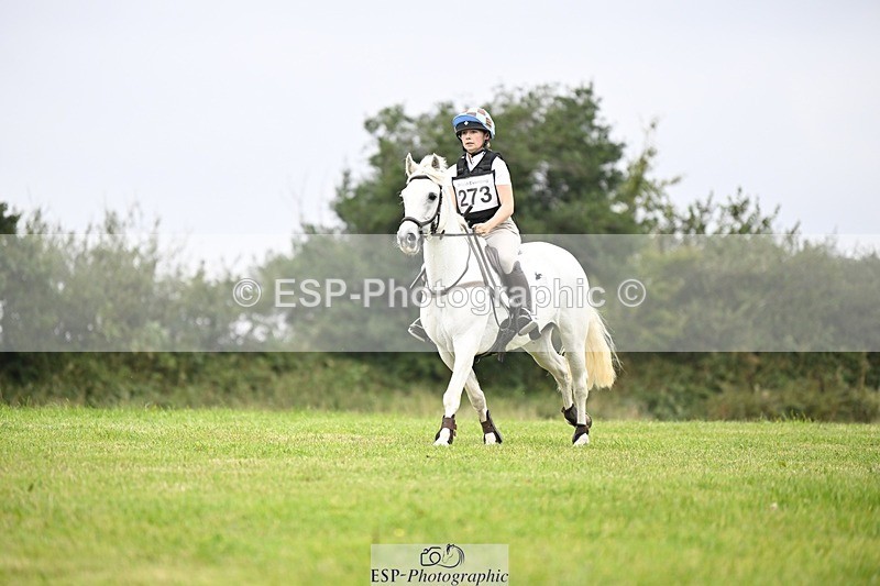 240831A-153546-04992 - 273-Harriet.Barnes-TYAN.LADY.ORTIZ