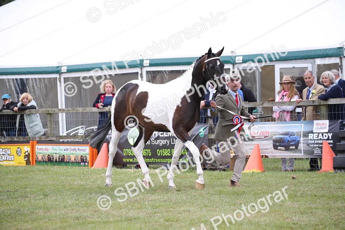 SBM_09806 - Ch 50 - Price Family Supreme In Hand