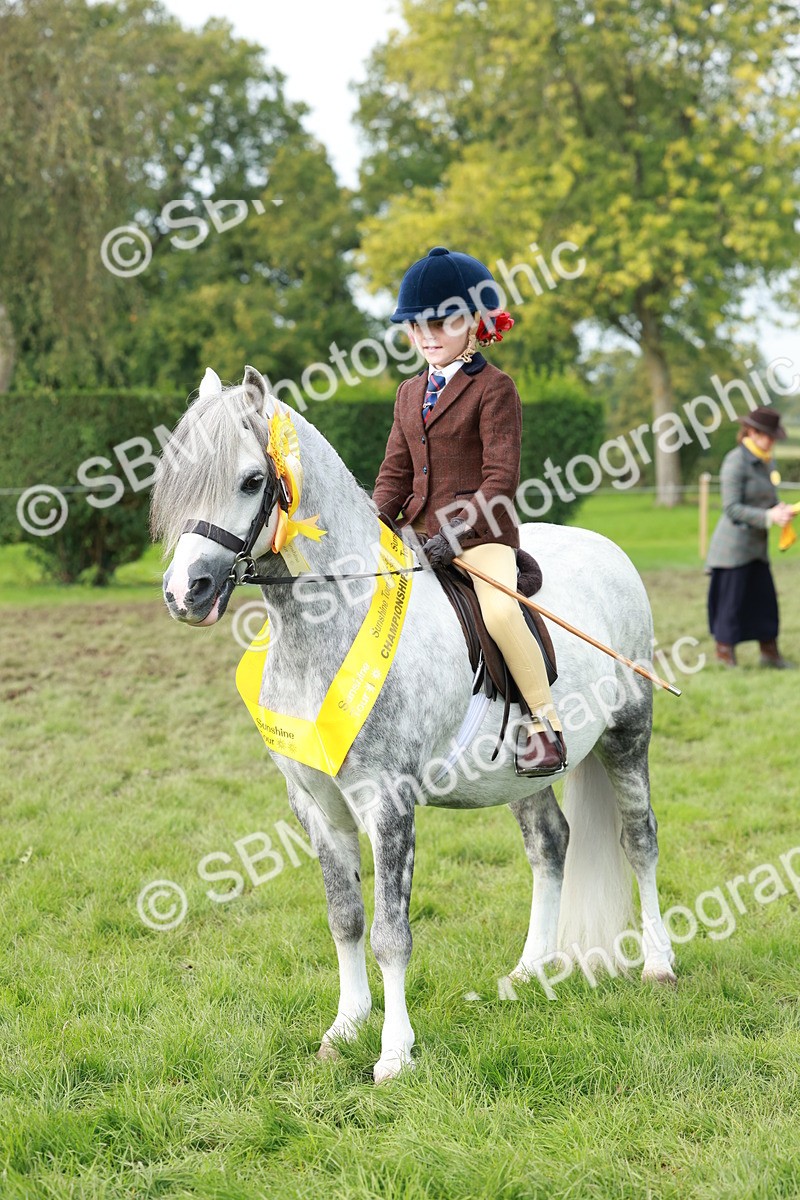 SBM_56462 - S39 - Starters In Hand Showing