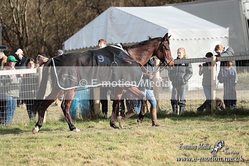 PtP 220225 919 - Kimblewick Point-to-Point  Kingston Blount 22/02/25