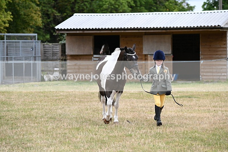 WJ6_4333 - Class 10 Coloured In-hand