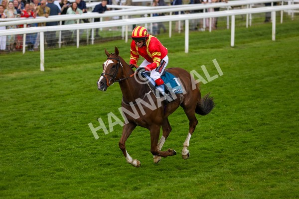 150624-G-Macmillan Ride Of Their Lives-6022 - 12.30pm Macmillan Ride of Their Lives