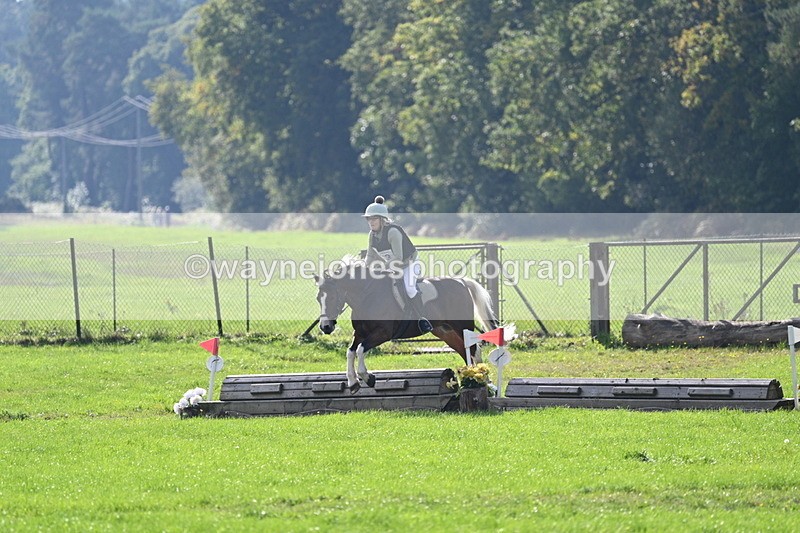 WJ7_4809 - 60cm Time 11:11 to 11:19