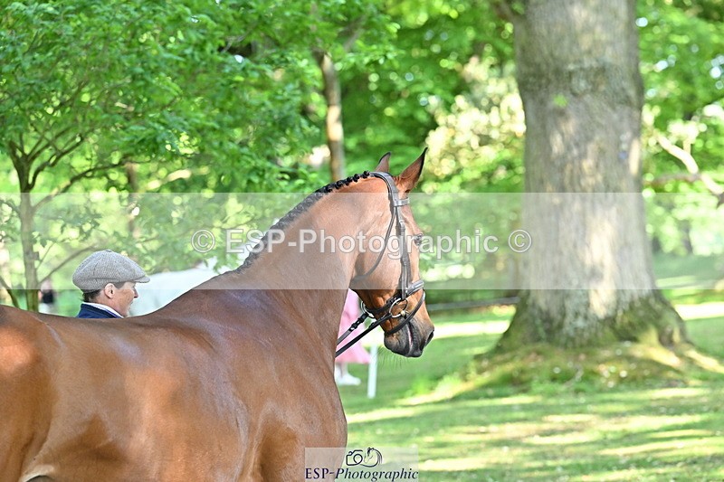 250521A-161944-01065 - C-267-Jeanette.Brakewell-PRIMIRO