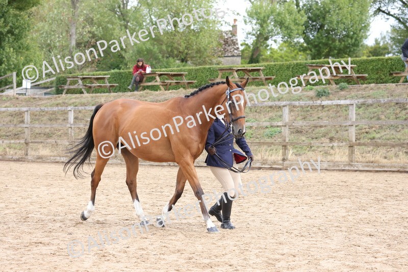 20260831-1956 - Class 5 - Retraining of Racehorses