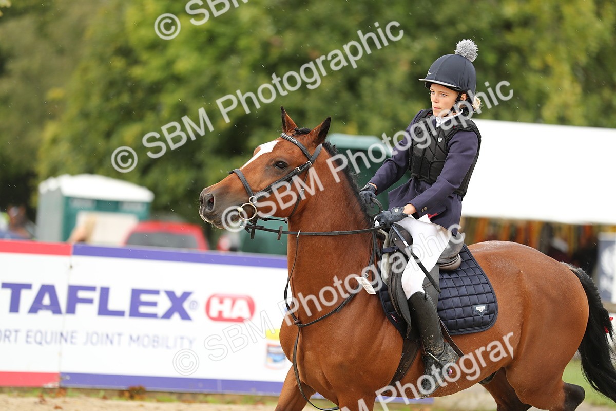 SBM_40377 - J21 - Junior Horse 60cm Championship