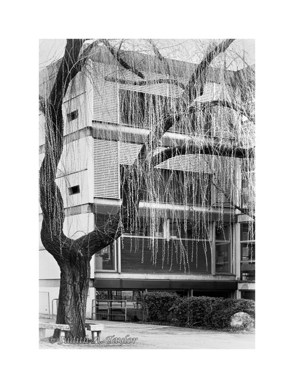 Geneva place des Charmilles