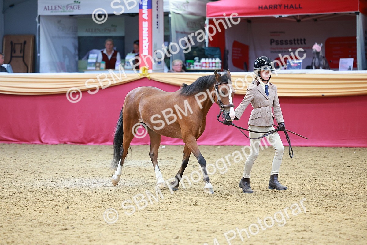 SBM_04242 - Class 9R - IH Pre-Vet