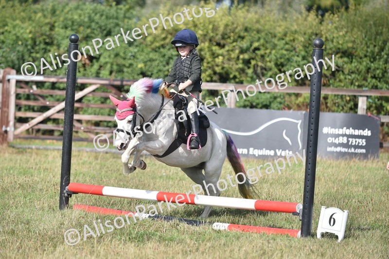 20260906-0974 - Class 7 - Absolute Novice Jumping 35cm