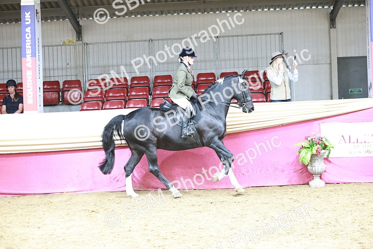 SBM_08773 - Class 12R - Regional Ridden Pre-Vet