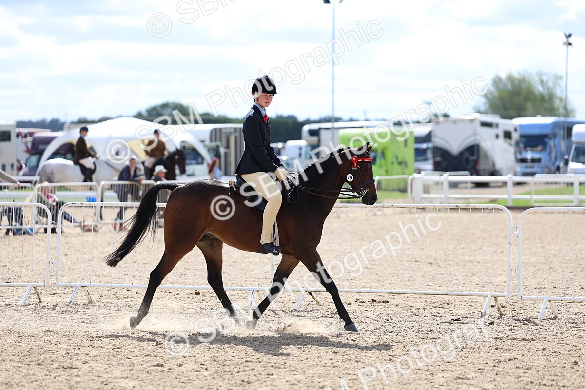 SBM_13267 - Class 311 - Ridden Show Pony Show Hunter Pony