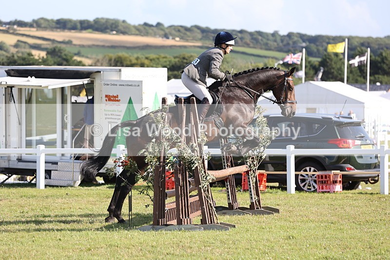 JPP_3128 - Class 21: Working Hunter 80cm