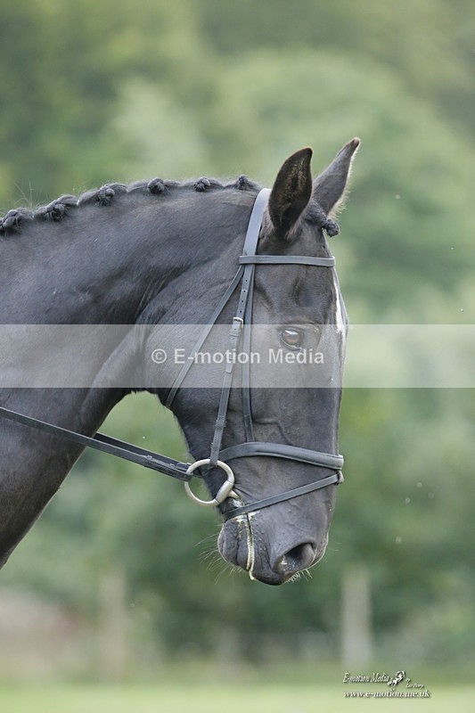 BVRC 120921 367 - Bourne Valley Riding Club UA Dressage & Show Jumping 12/09/21