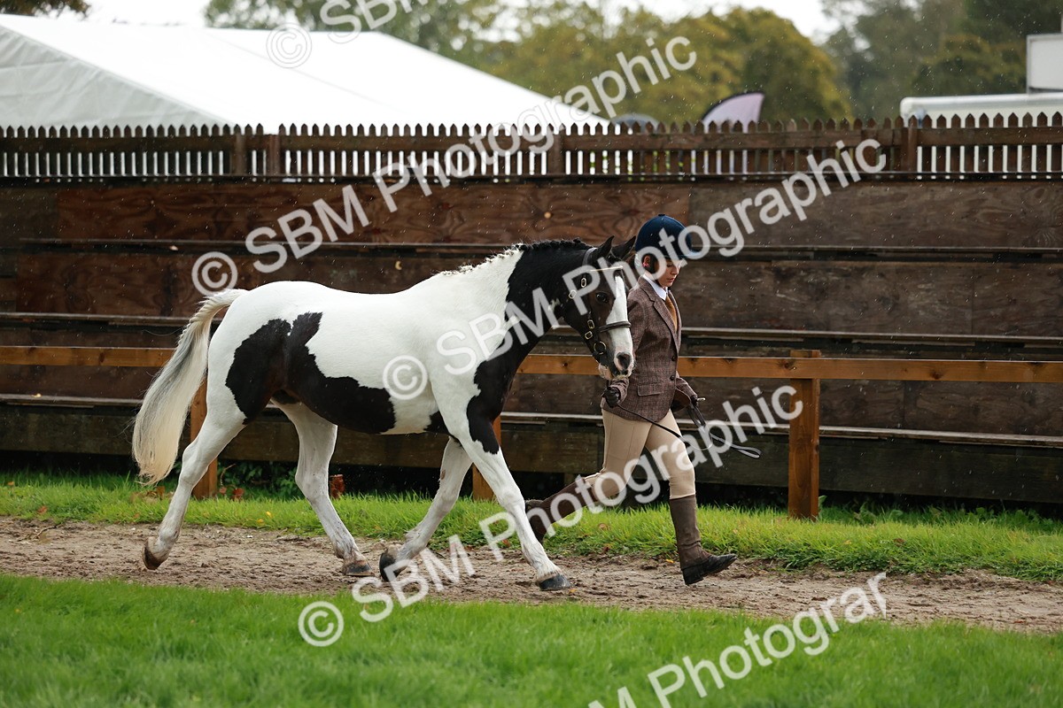 SBM_34856 - S10 - Best In Hand Horse & Pony