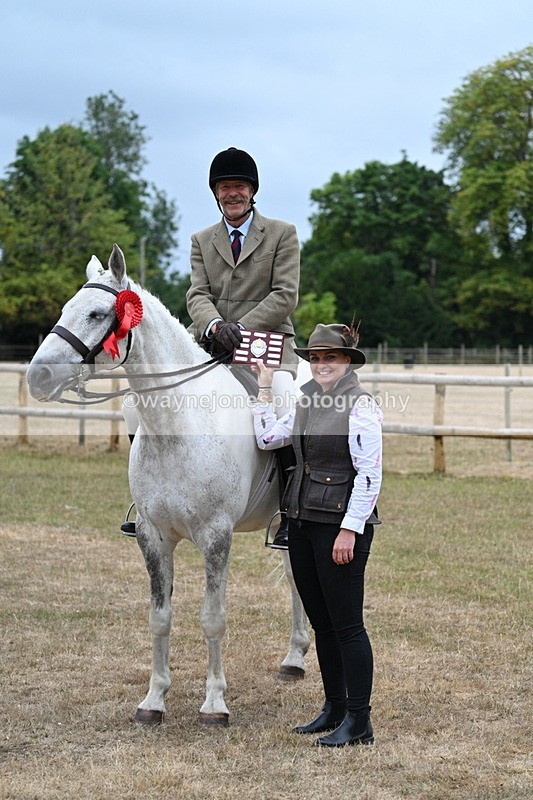 WJ7_1011 - Class 7 Riding Club Show Horse