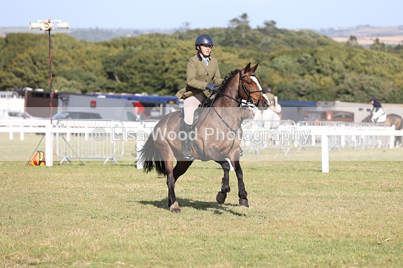 JPP_3144 - Class 21: Working Hunter 80cm