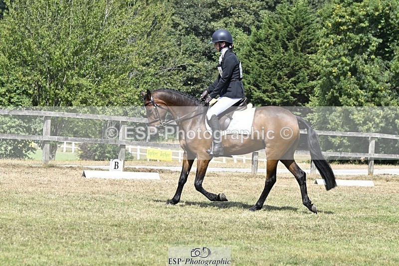 250822A-120826-22595 - DR 11.00 to 12.00