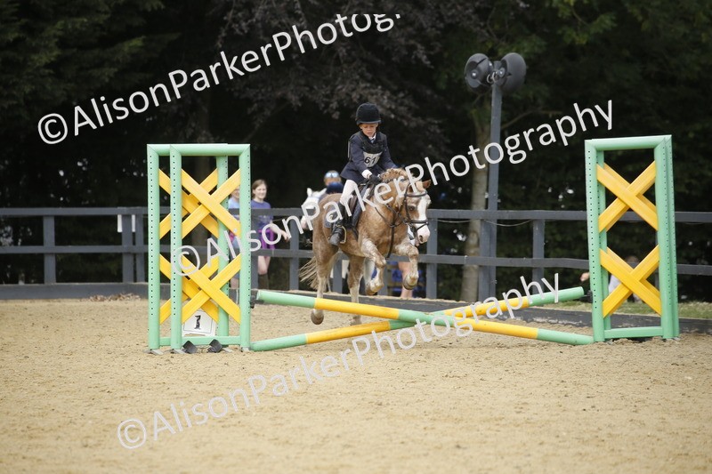 20250622-3799 - 50cm