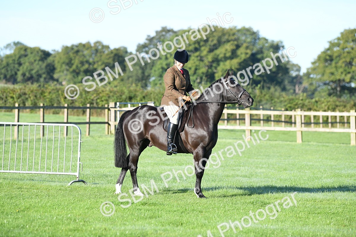 SBM_33998 - S16 - Condition & Turnout - Ridden