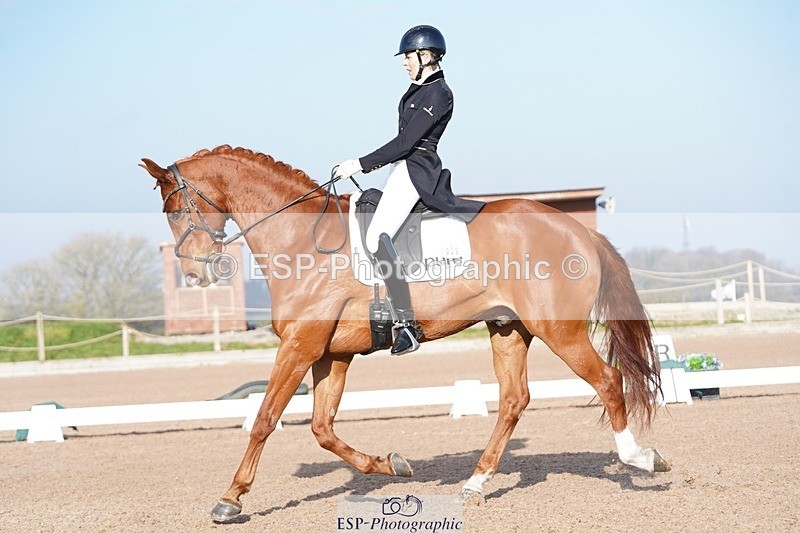 250403-085608-00089 - 009-Sarah.Stewart-Djoe.Dimaggio