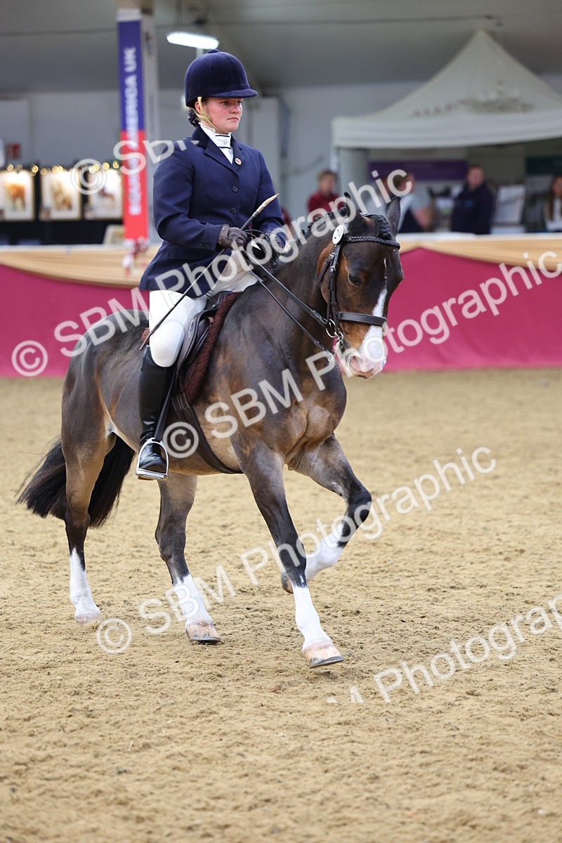 SBM_23795 - Class 904 - Supreme Final Ridden Diamond