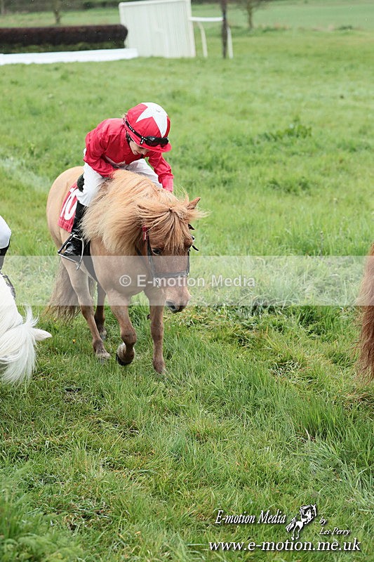 SHETPR 210425 251 - Shetland Ponies Paxford Races 21/04/25