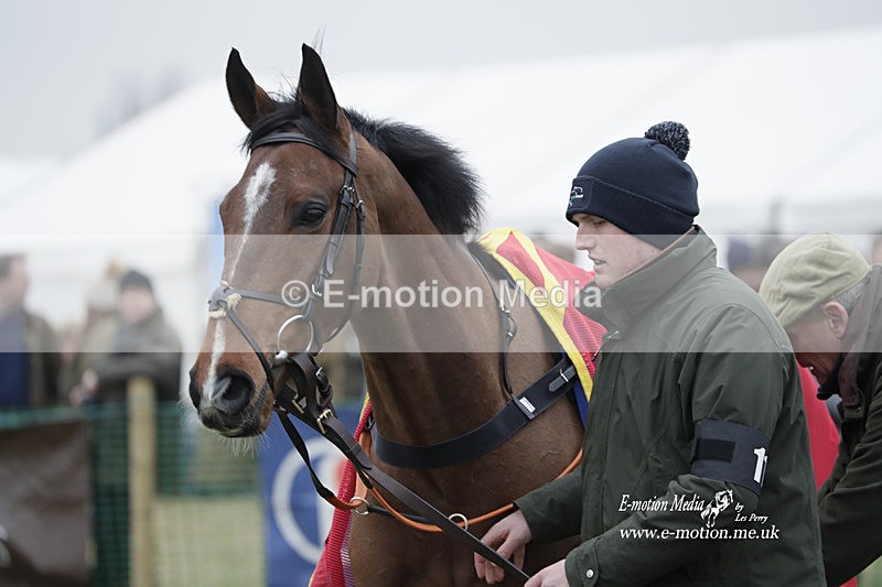 PtP 040323 766 - Duke of Beauforts Hunt Point-to-Point Didmarton 04/03/23