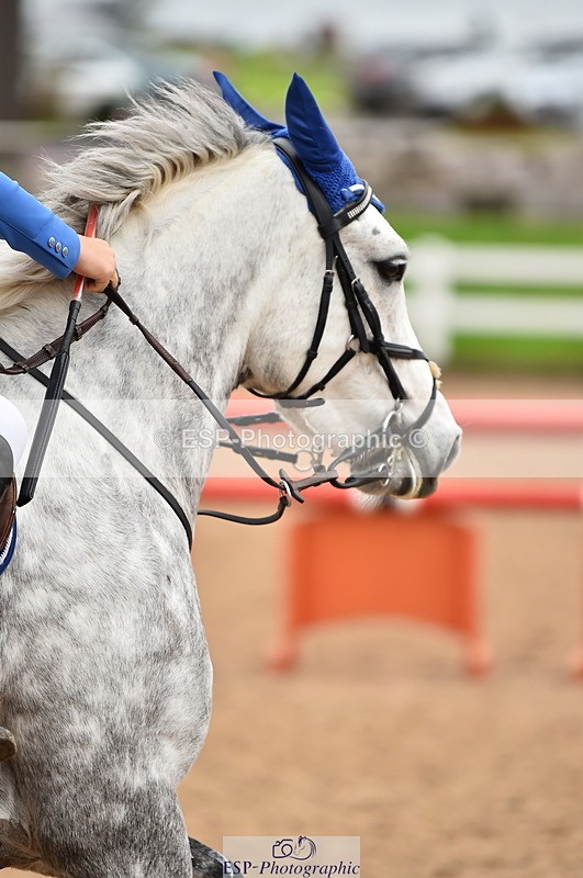 231028A-131706-01654 - Cls 4 Newcomers & 1m Open