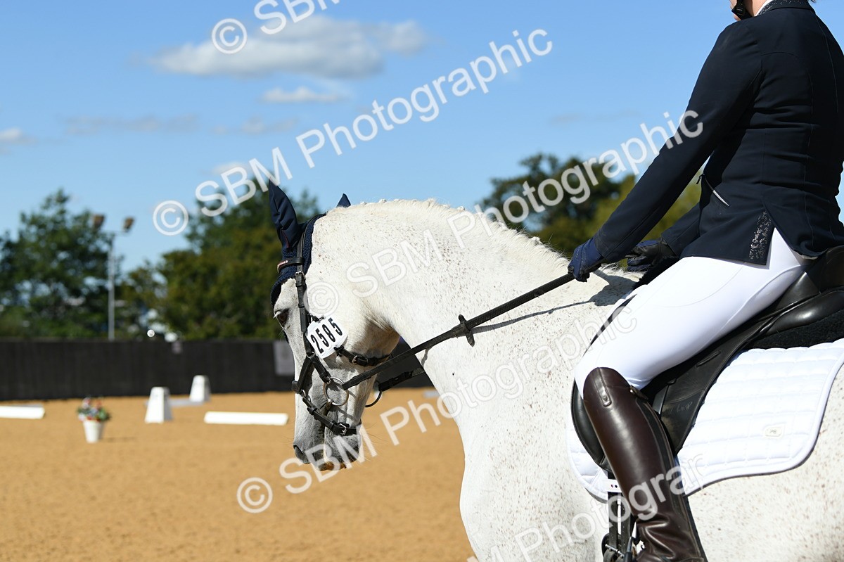 SBM_24697 - D13 - Grand Tour Championship - Prelim 12