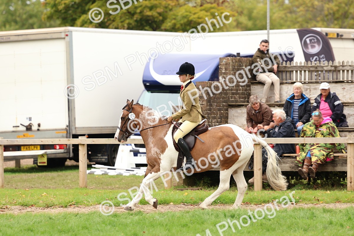 SBM_64561 - S58 - Coloured Pony Ridden