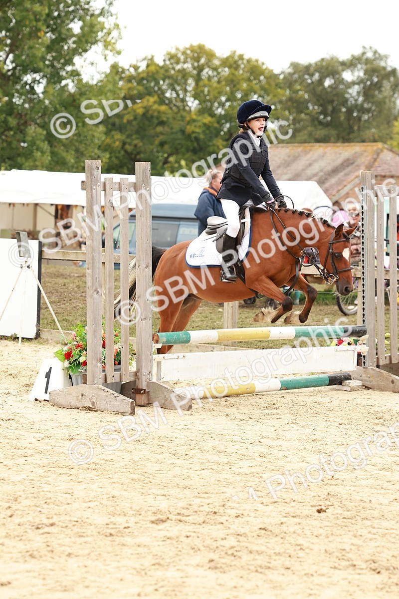 SBM_63600 - J12 - Junior Pony 55cm Championship