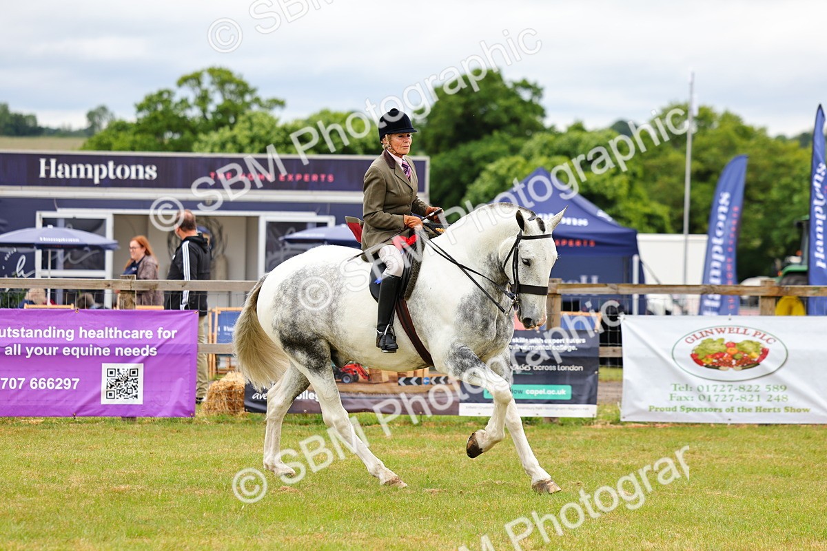 SBM_02668 - Class 9-11 Side Saddle including LIHS Rising Star Ladies Show Horse