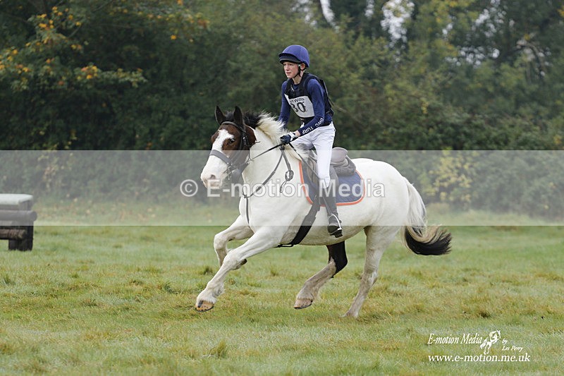 WWHT 171021 0620 - Novice Restricted (0.80m)  17/10/21