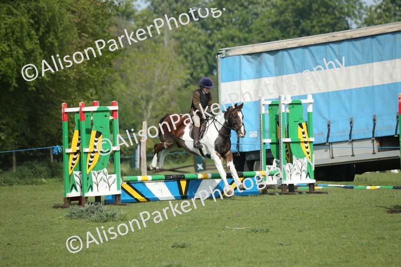 20260426-0236 - Class 13 - Rookie Jumping 50cm