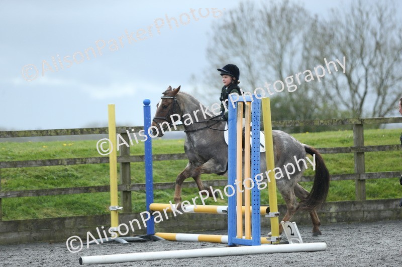 20260412-1847 - Show Jumping