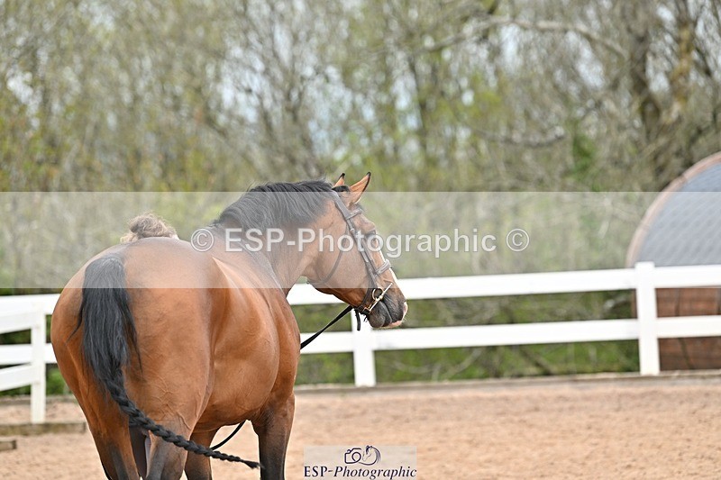 250423-150128-01401 - 2pm to 3pm