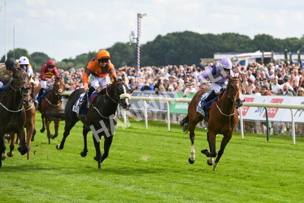 yr11062022r8-20 - Race 8 5.25pm Clean up with PPS Stakes