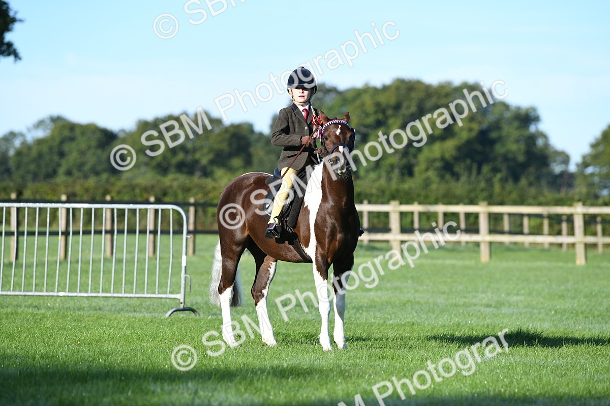 SBM_33949 - S16 - Condition & Turnout - Ridden