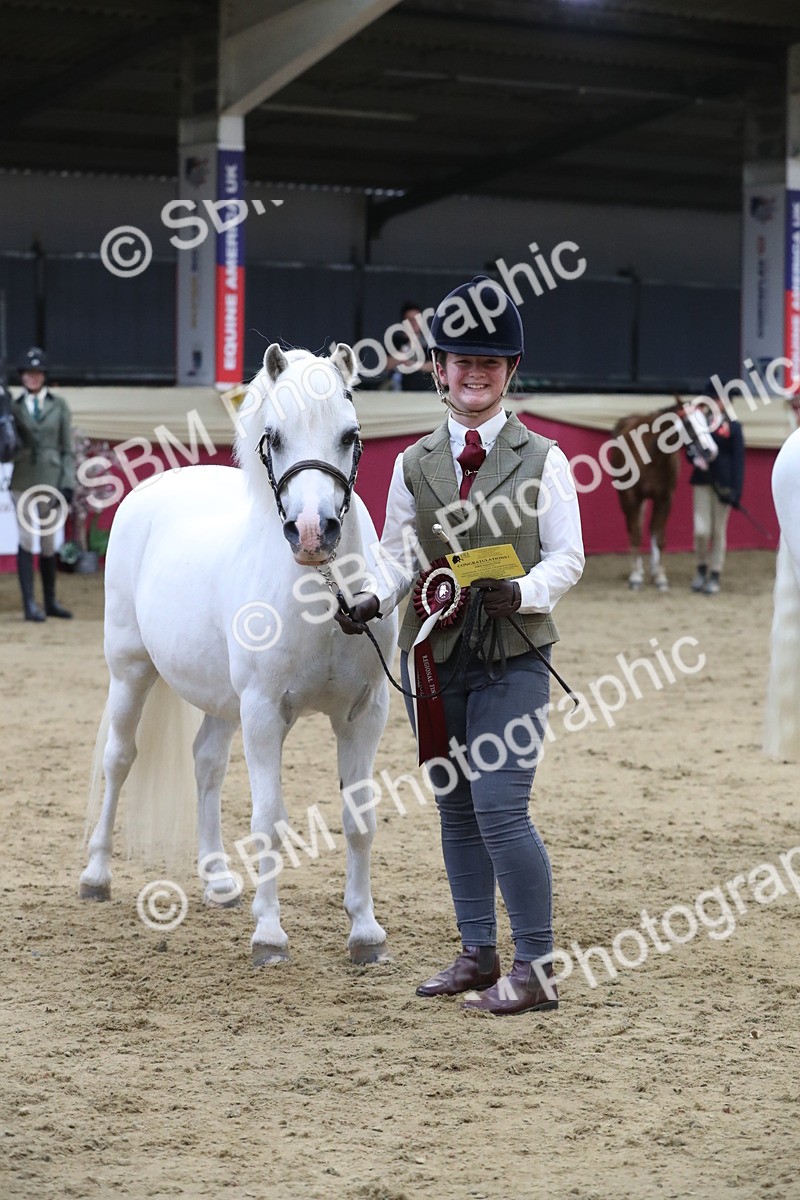 SBM_05053 - Class 8R- Regional -IH Veteran