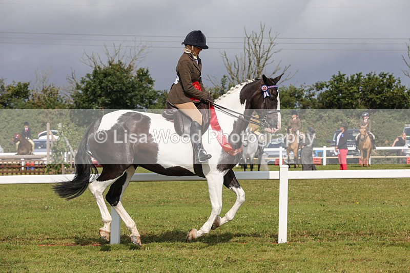 1X9A3531 - Skewbald and Piebald Ridden Championship