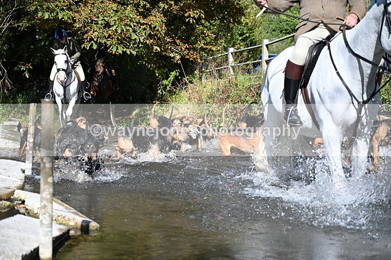 WJ7_5955 - Hounds Water Crossing