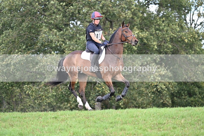 WJ7_2330 - Time 13:55 to 14:05