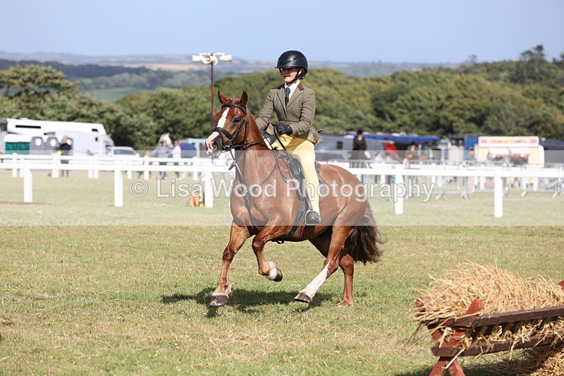 JPP_2751 - Class 20: Working Hunter 70cm