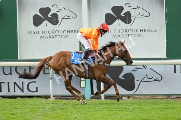 yr04092022p2-48 - 12.50pm. 148cm Open Pony Race