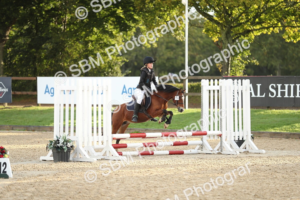 SBM_34156 - J60 Clear Round 50cm