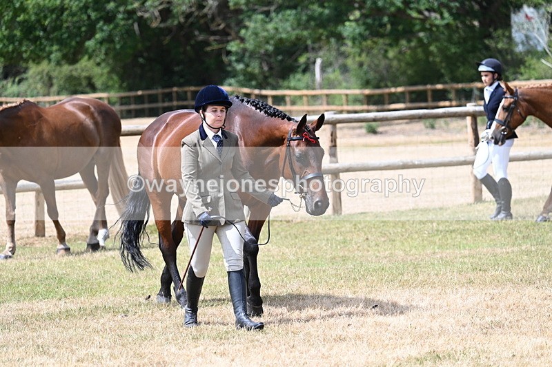 WJ7_1787 - Class 4a Prettiest Mare 14.2hh and over hand