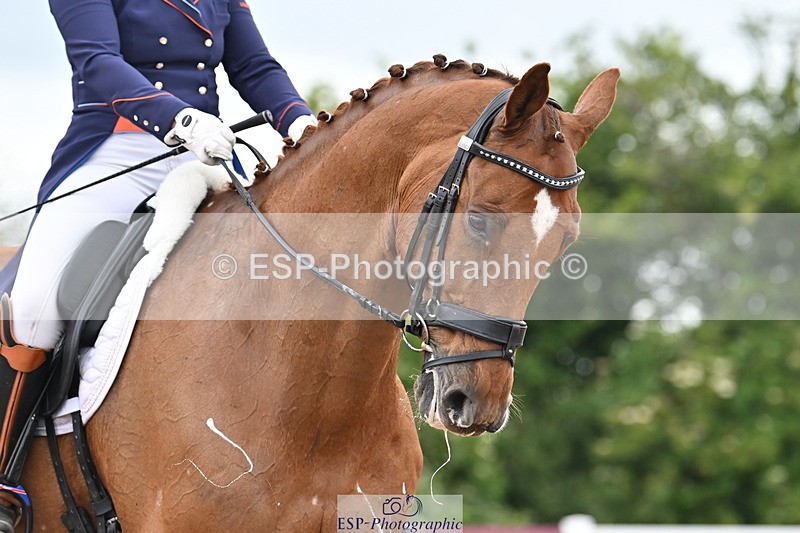 240621A-181824-06234 - Cls 17 BD FEI PSG