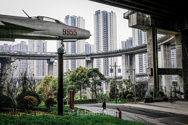  - Where the Wild Concrete Grows (China, ongoing)