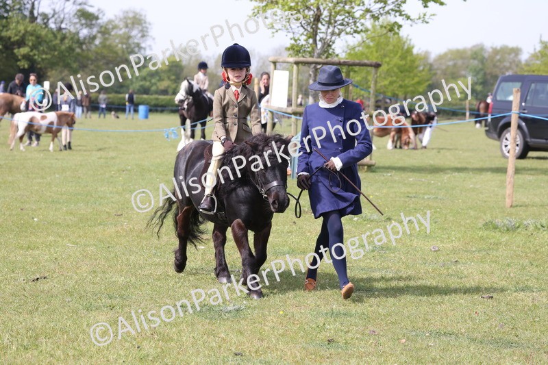 20260426-2565 - Class 31 - Leading Rein